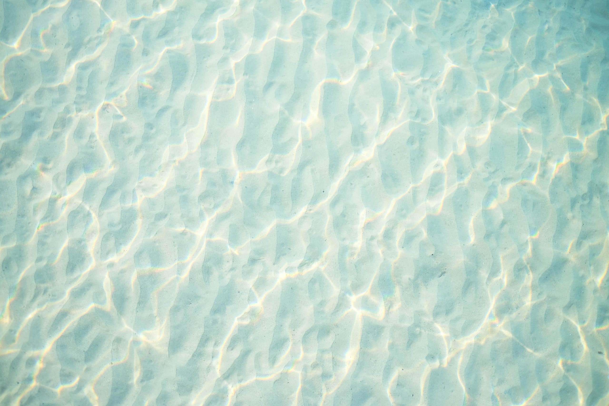 mink-mingle-aleyuikusmc-unsplash.jpg
